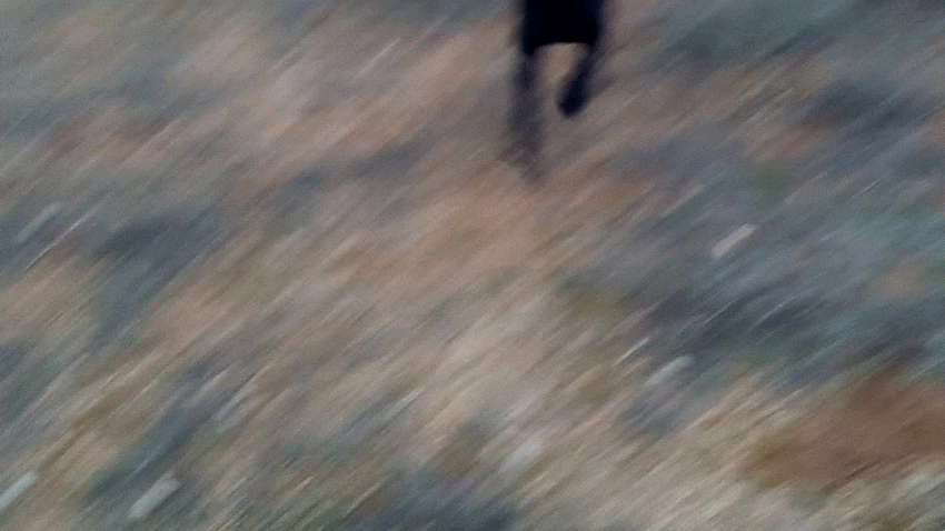 Impresiones de un perro negro