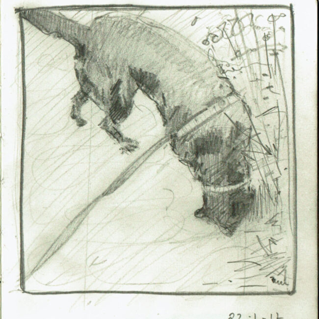 The Walking Dog bocetos 1