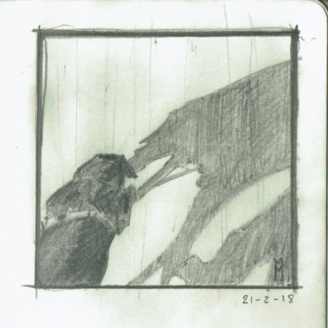 The Walking Dog bocetos 2