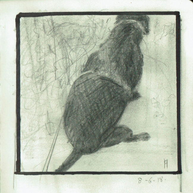 The Walking Dog bocetos 7