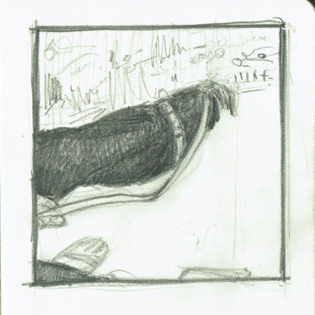 The Walking Dog bocetos 8