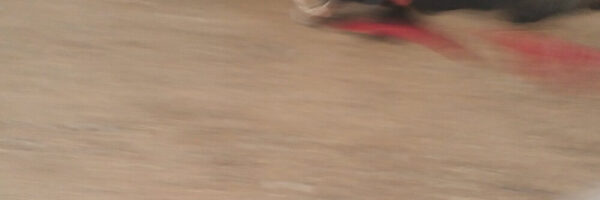 The Walking Dog - fotografía digital 10